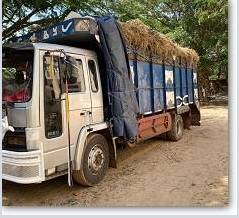 One Small Lorry Load of Hay